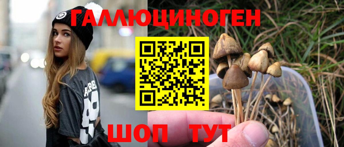 Галлюциногенные грибы Psilocybine cubensis Ейск